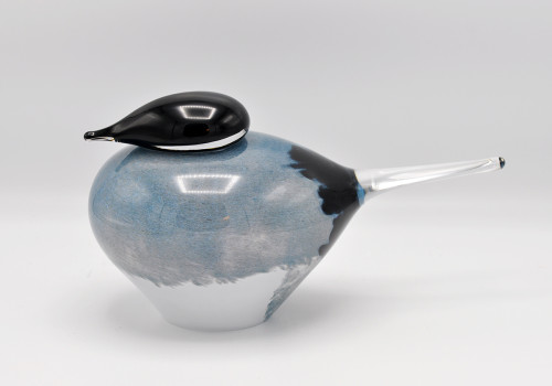 Loranto + Blue Jay, vogel large